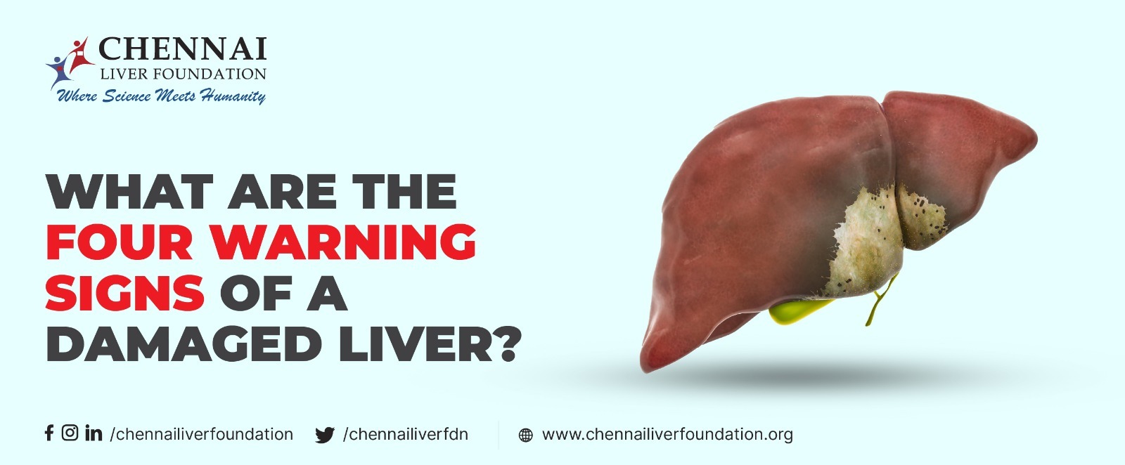 What Are The Four Warning Signs of a Damaged Liver